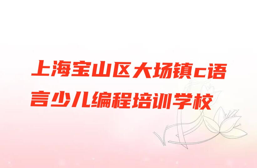上海宝山区大场镇c语言少儿编程培训学校