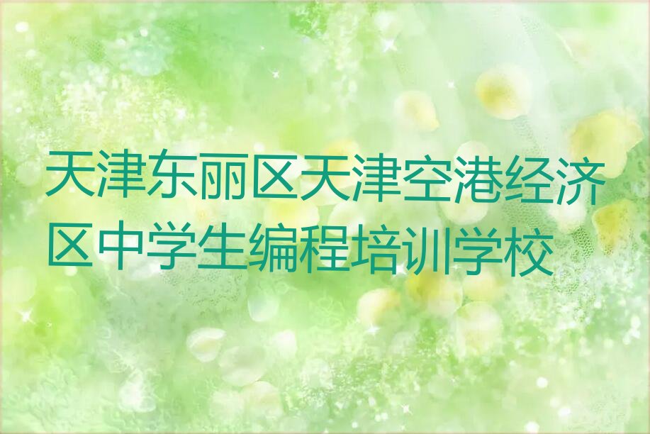 天津东丽区天津空港经济区中学生编程培训学校