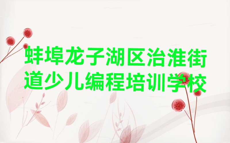 蚌埠龙子湖区治淮街道少儿编程培训学校