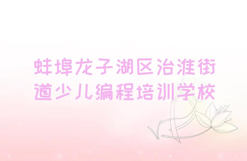 蚌埠龙子湖区治淮街道少儿编程培训学校