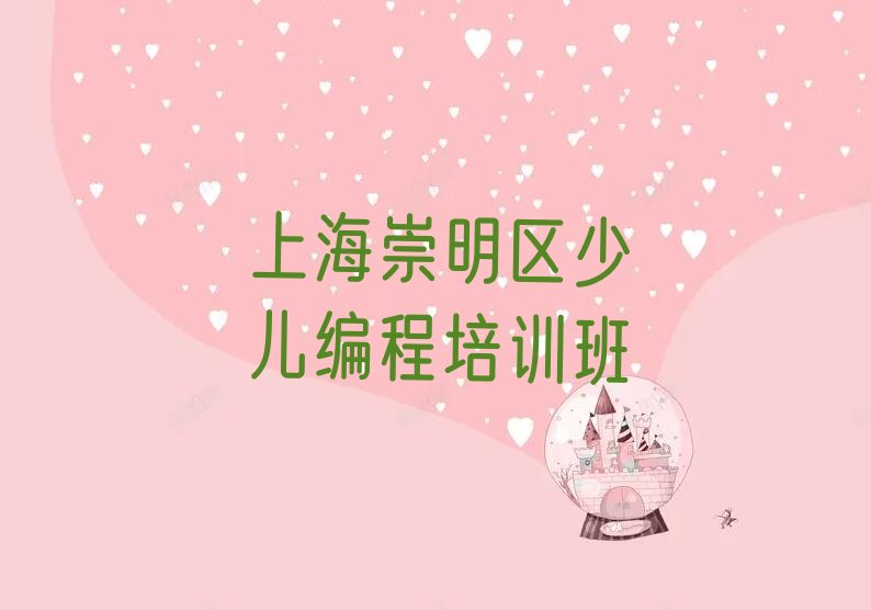 上海崇明区少儿编程培训班
