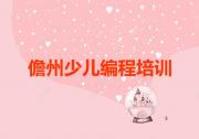 儋州少儿编程培训班报名表