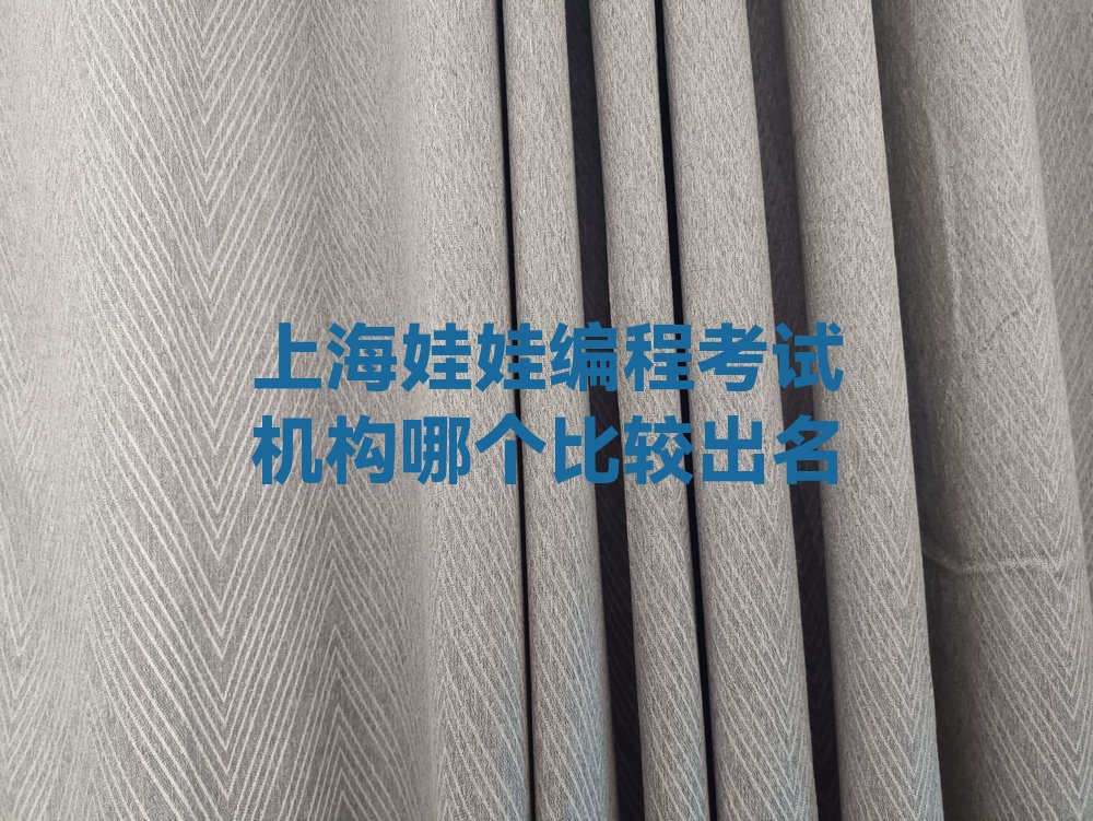 上海闵行区娃娃编程培训学校