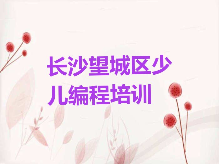 长沙望城区少儿编程培训
