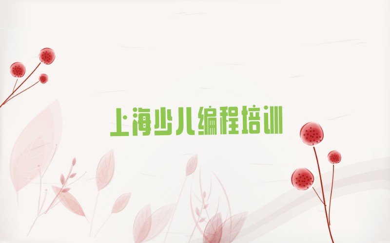 上海闵行区莘庄工业区少儿编程培训学校