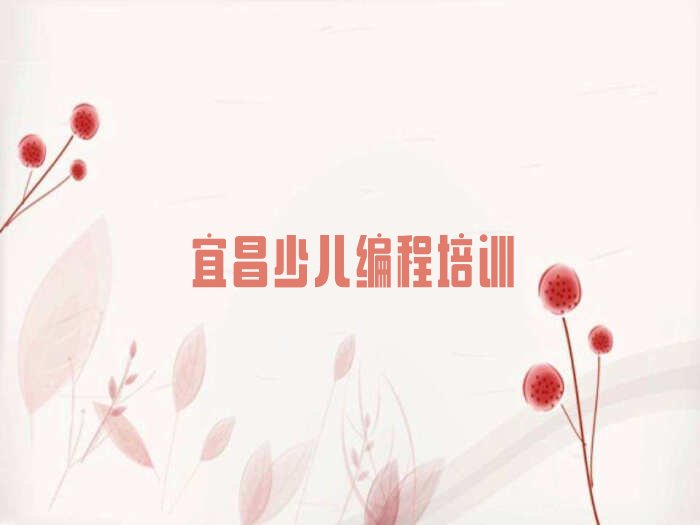 宜昌夷陵区龙泉镇noip培训学校
