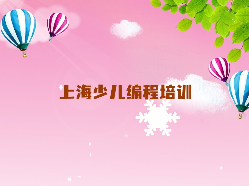 上海闵行区莘庄工业区少儿编程培训学校