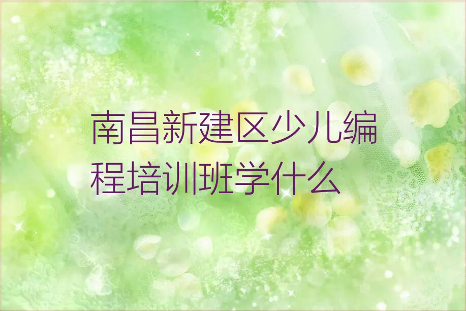 南昌新建区厚田乡少儿编程培训学校