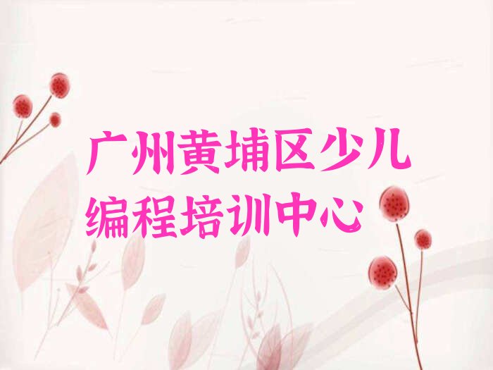 广州黄埔区少儿编程培训中心