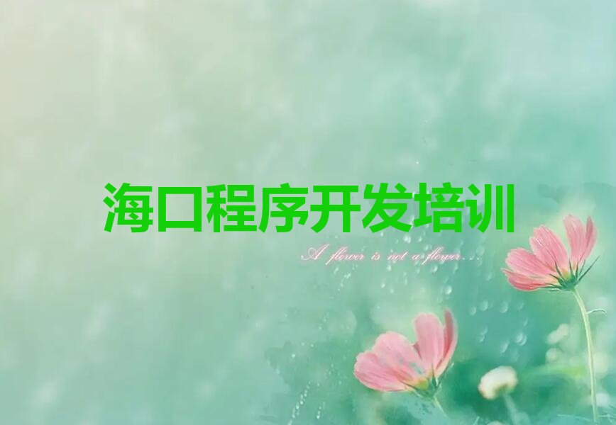 海口少儿编程培训班