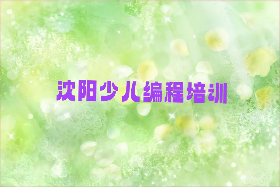 沈阳和平区南湖街道noip培训学校