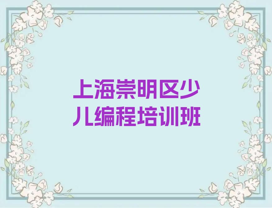 上海崇明区少儿编程培训班