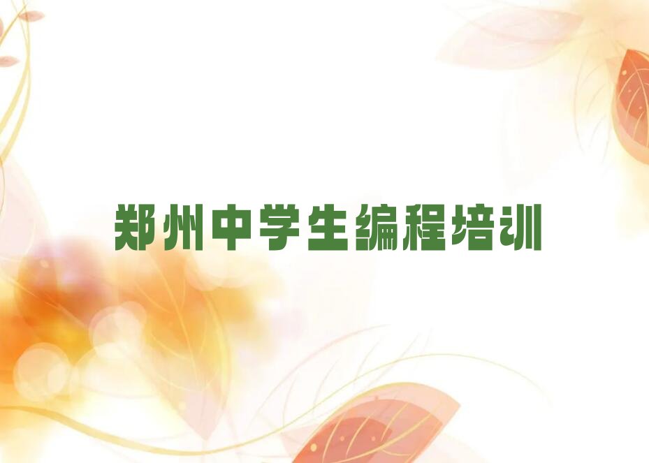 中学生编程