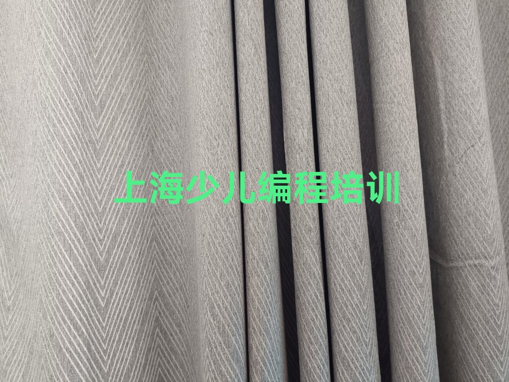 上海闵行区娃娃编程培训学校