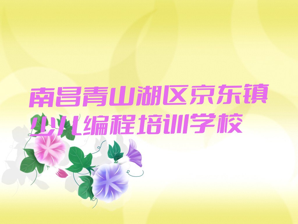 南昌青山湖区京东镇少儿编程培训学校