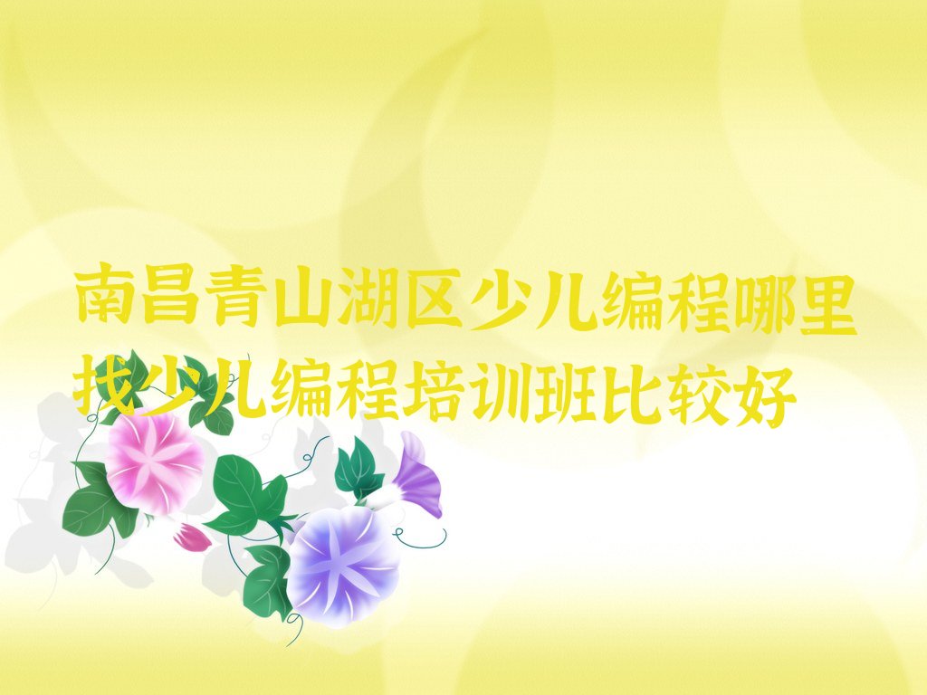 南昌青山湖区京东镇少儿编程培训学校