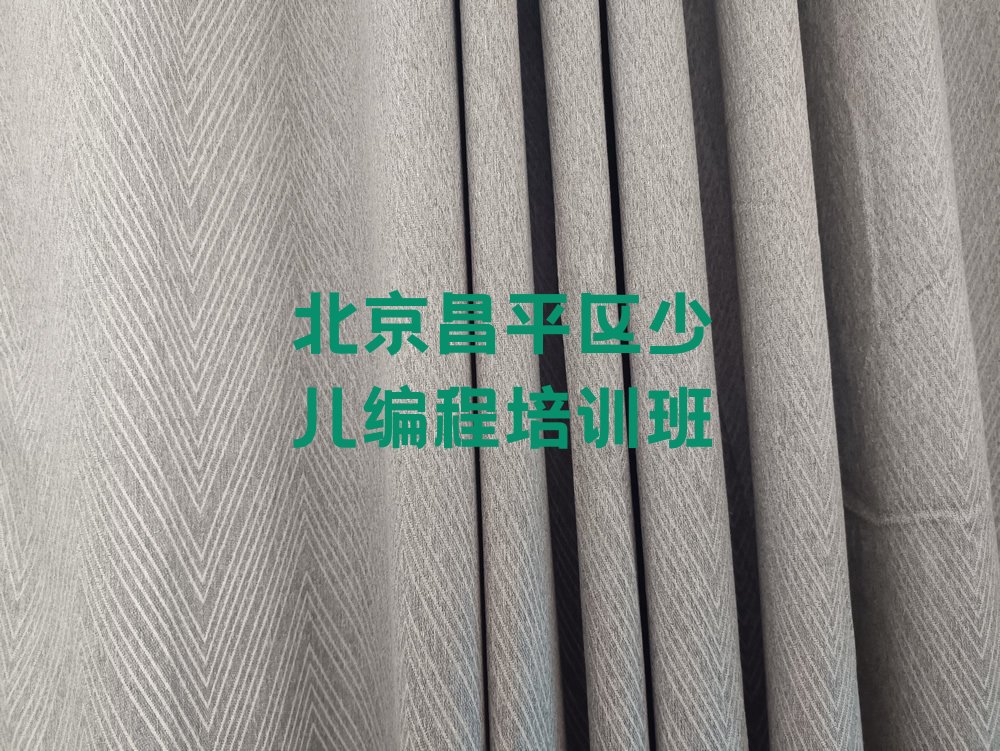 北京昌平区少儿编程培训班