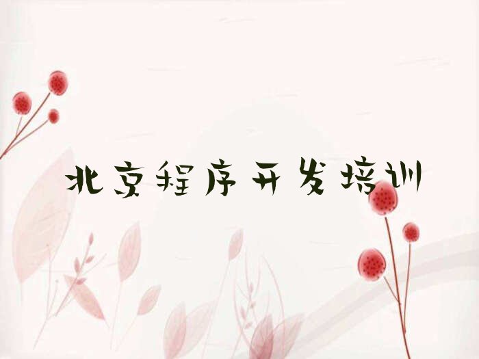 北京丰台区宛平城python培训学校