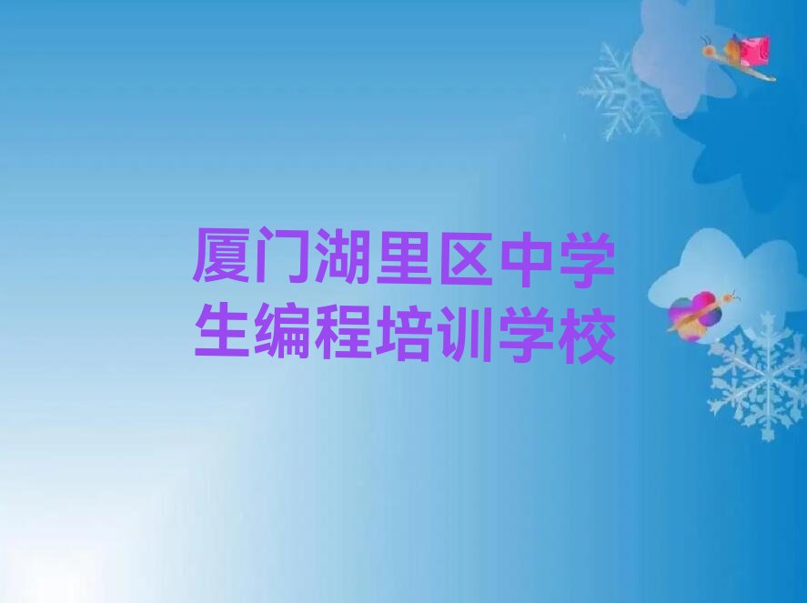 厦门湖里区中学生编程培训学校