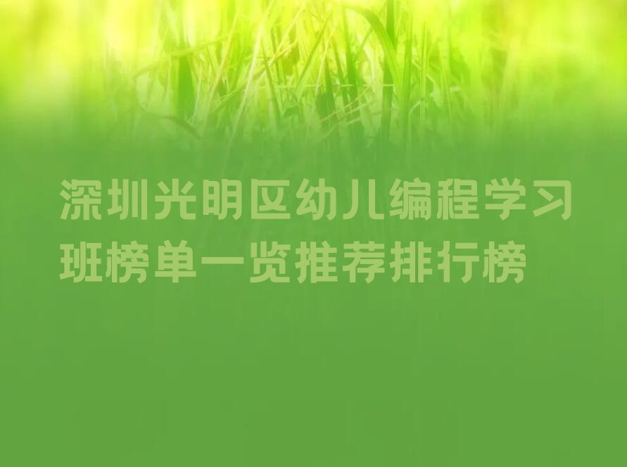 深圳光明区新湖街道少儿编程培训学校