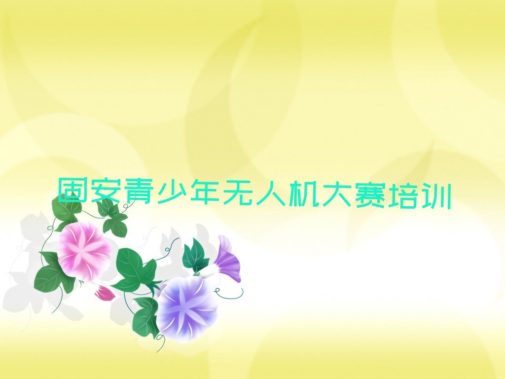 固安青少年无人机大赛培训学校