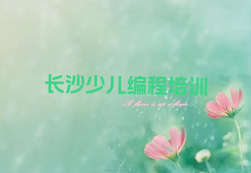 长沙雨花区长沙雨花经济开发区管理委员会少儿编程培训学校