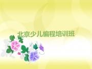 北京房山区在哪学儿童编程好