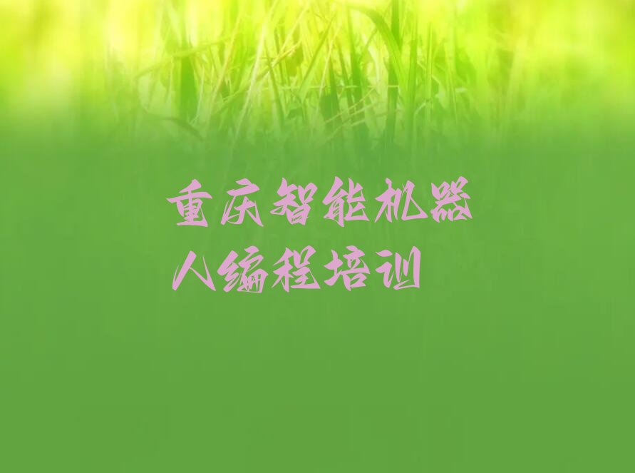 十大重庆南川区选则智能机器人编程培训需要注意的问题有哪些排行榜