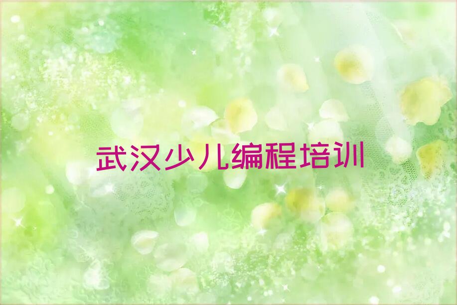 武汉新洲区三店街道少儿编程c++培训学校