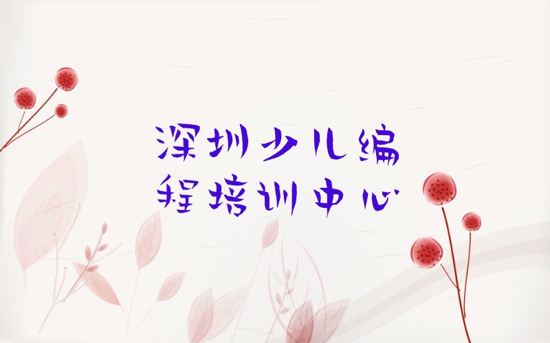 深圳少儿编程培训中心