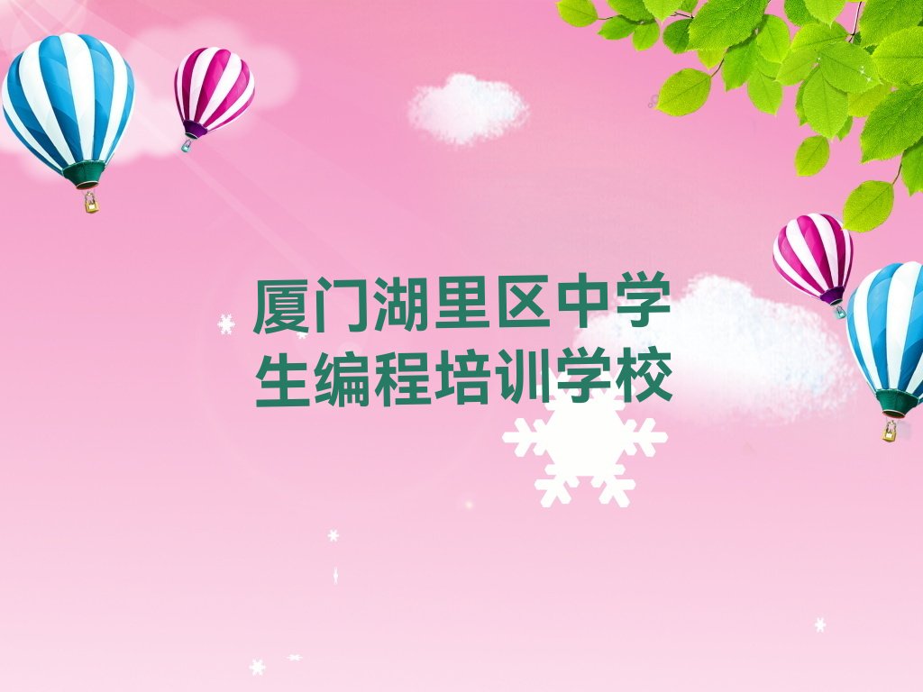 厦门湖里区中学生编程培训学校