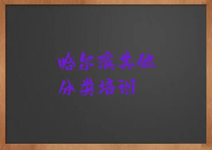 哈尔滨少儿无人机大赛培训学校