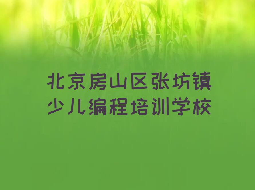 北京房山区张坊镇少儿编程培训学校