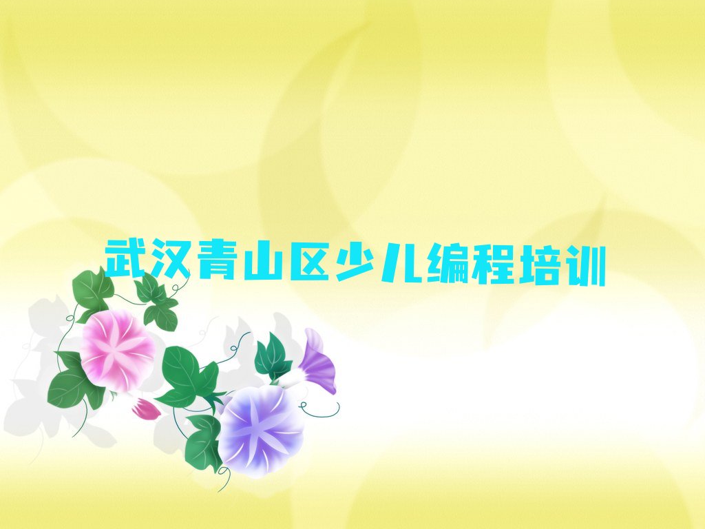 武汉青山区少儿编程培训