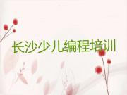 长沙雨花区少儿编程去哪学少儿编程培训中心今日新排名榜一览表