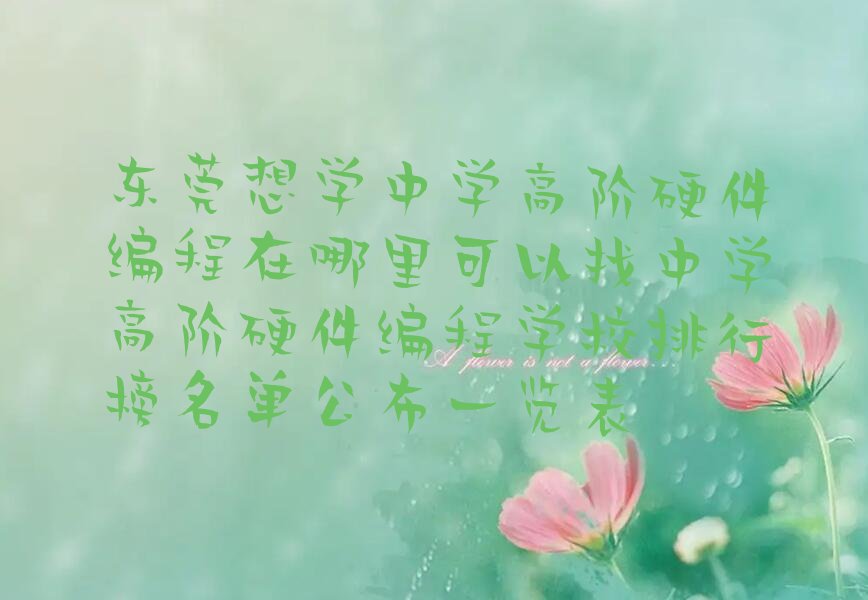 东莞少儿编程培训中心