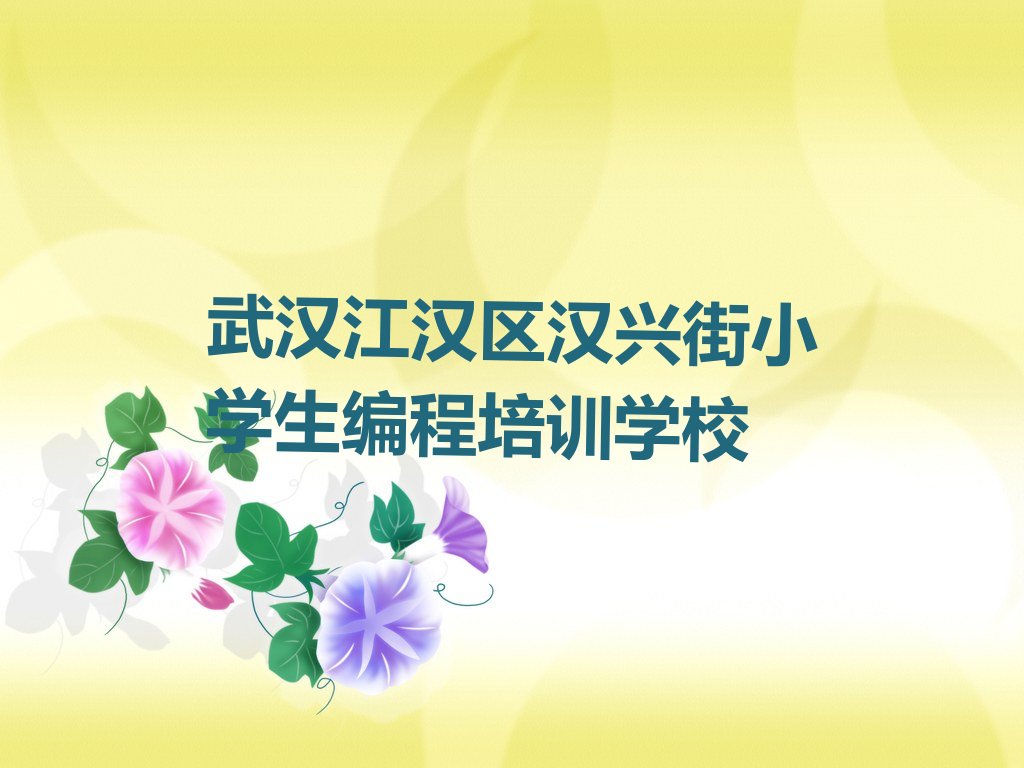 武汉江汉区汉兴街小学生编程培训学校