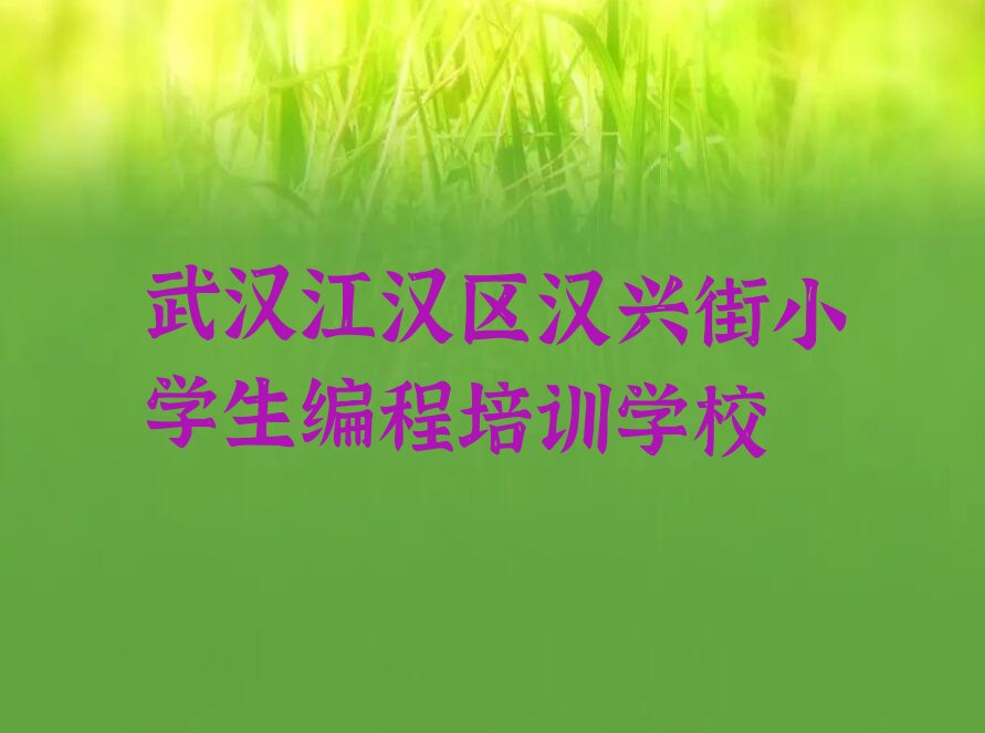 小学生编程