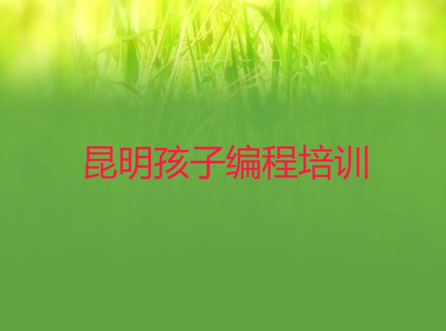 昆明孩子编程培训学校