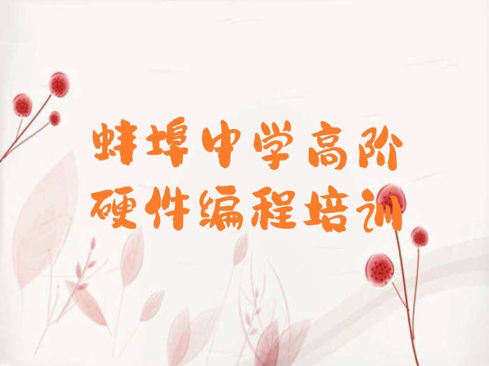 十大中学高阶硬件编程蚌埠天桥街道中学高阶硬件编程培训口碑怎么样人气排行榜一览表排行榜