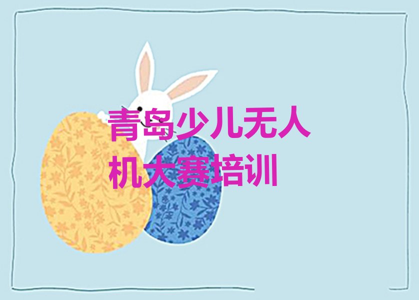 十大市北区正规少儿无人机大赛培训班十强排名榜一览表排行榜