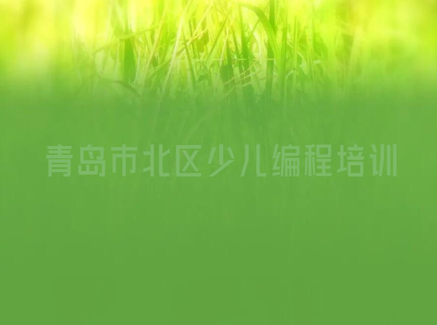 青岛市北区少儿编程培训