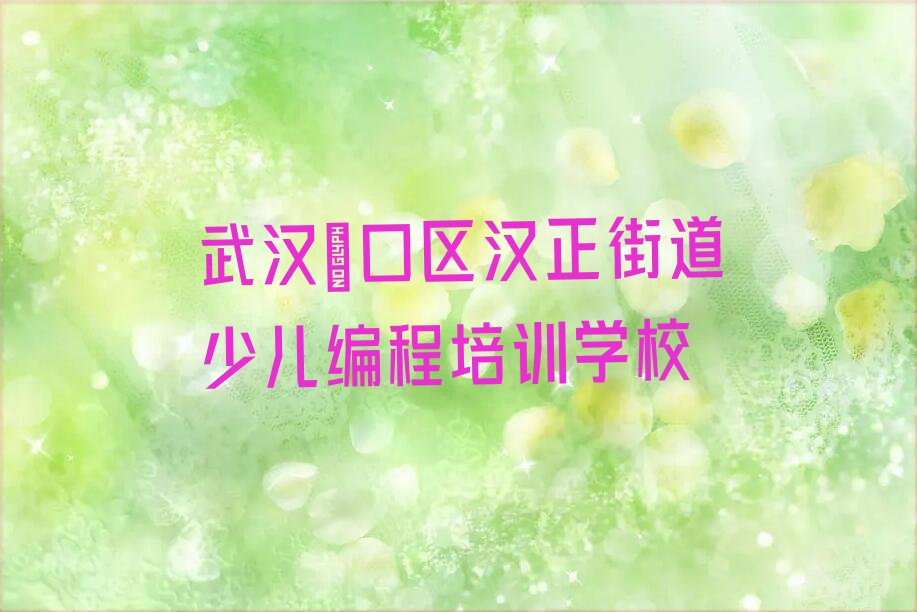 武汉硚口区汉正街道少儿编程培训学校