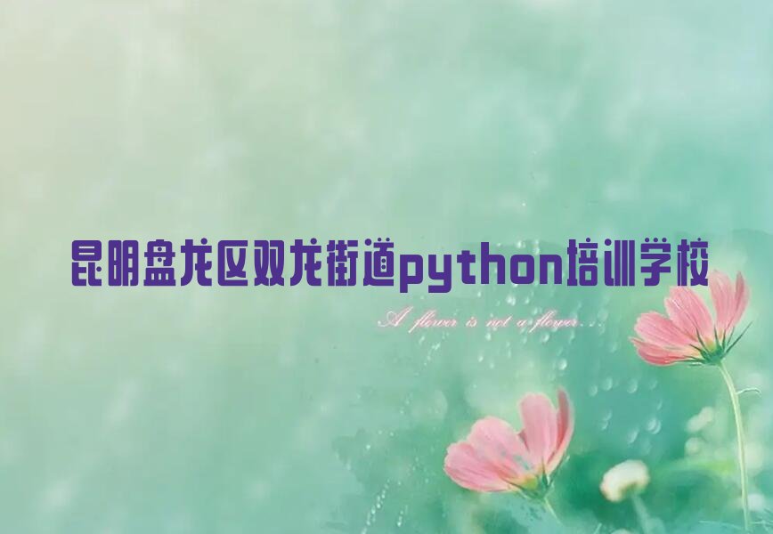 昆明盘龙区双龙街道python培训学校