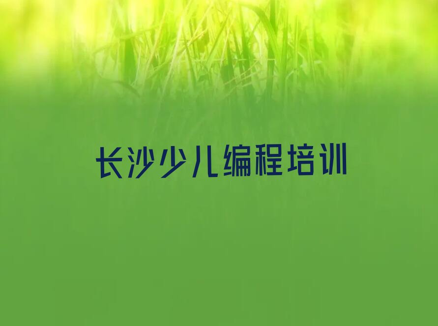 长沙雨花区机器人编程培训学校