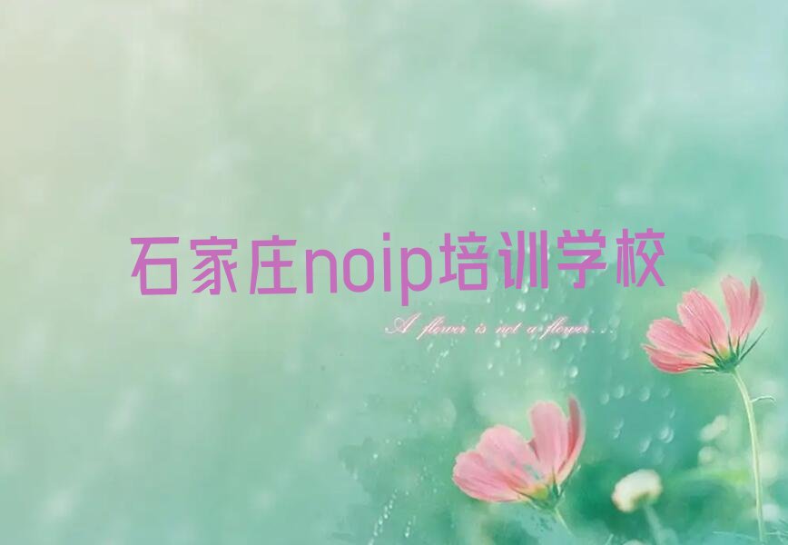 石家庄noip培训学校