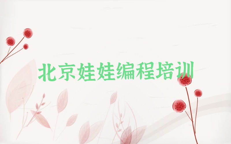 北京延庆区大庄科乡少儿编程培训学校