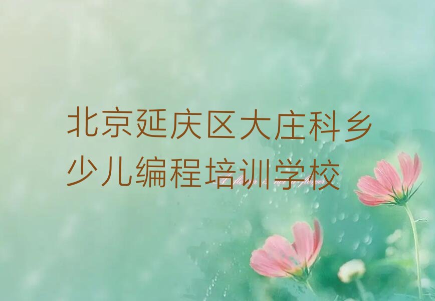 娃娃编程