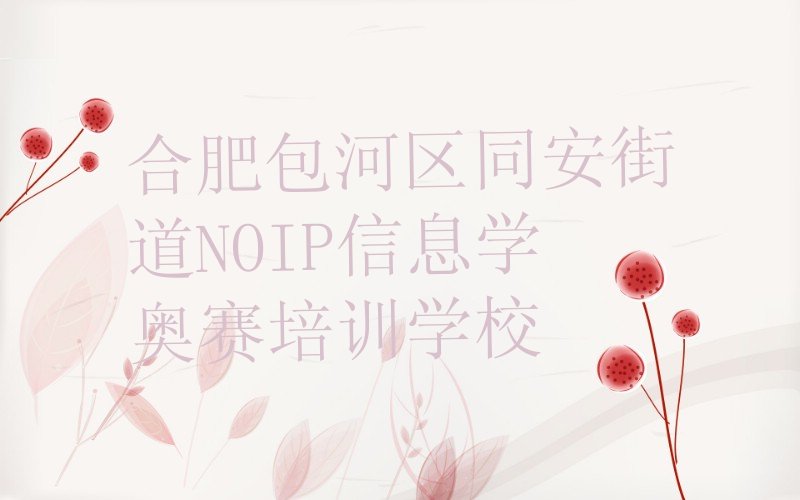 合肥包河区同安街道NOIP信息学奥赛培训学校