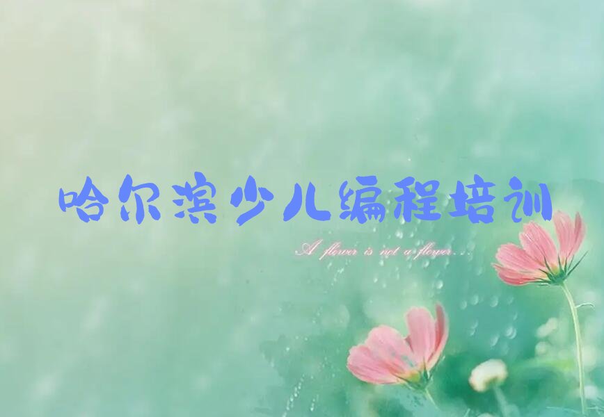 娃娃编程